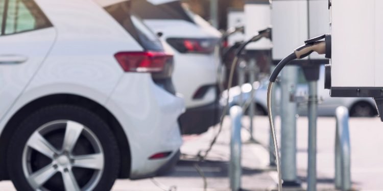 En un mundo de autos eléctricos ¿Qué pasará con los mecánicos?